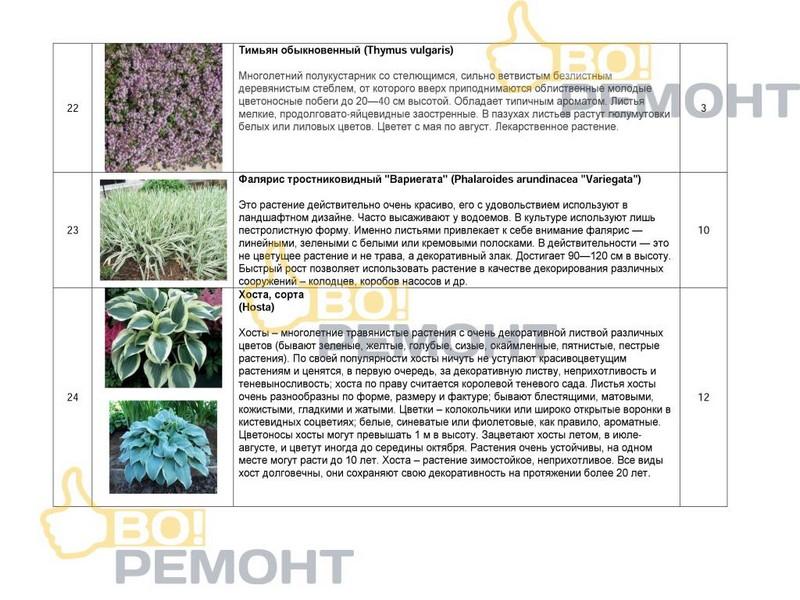 Проект благоустройства территории-102